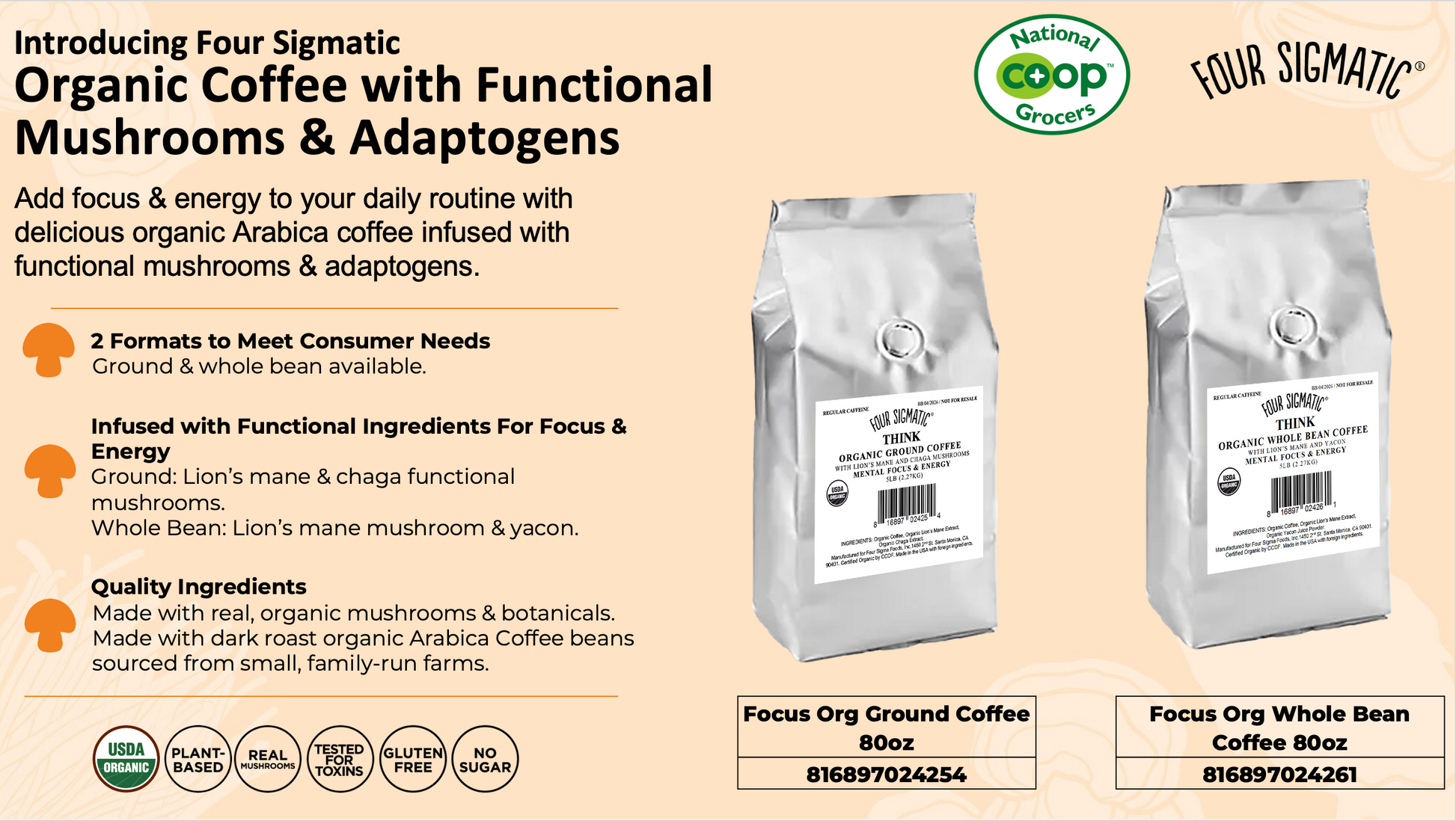 FOCUS Organic Ground Coffee with Lion's Mane & Chaga Mushrooms (80oz BULK BAG)